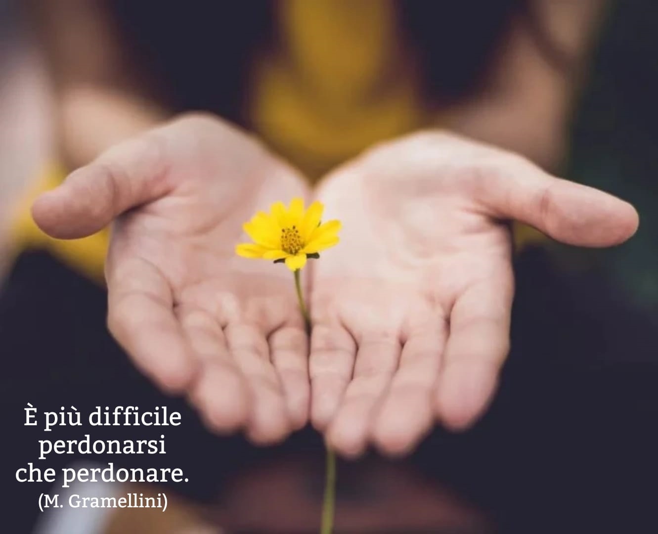 Il perdono lo si riceve. Dalla colpa ci si libera ...